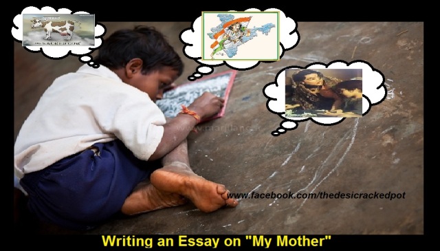 Essay about my hero my mom